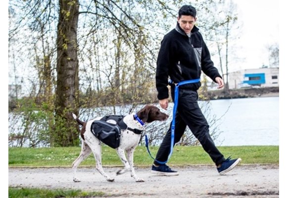 RC Pets Active Primary Leash