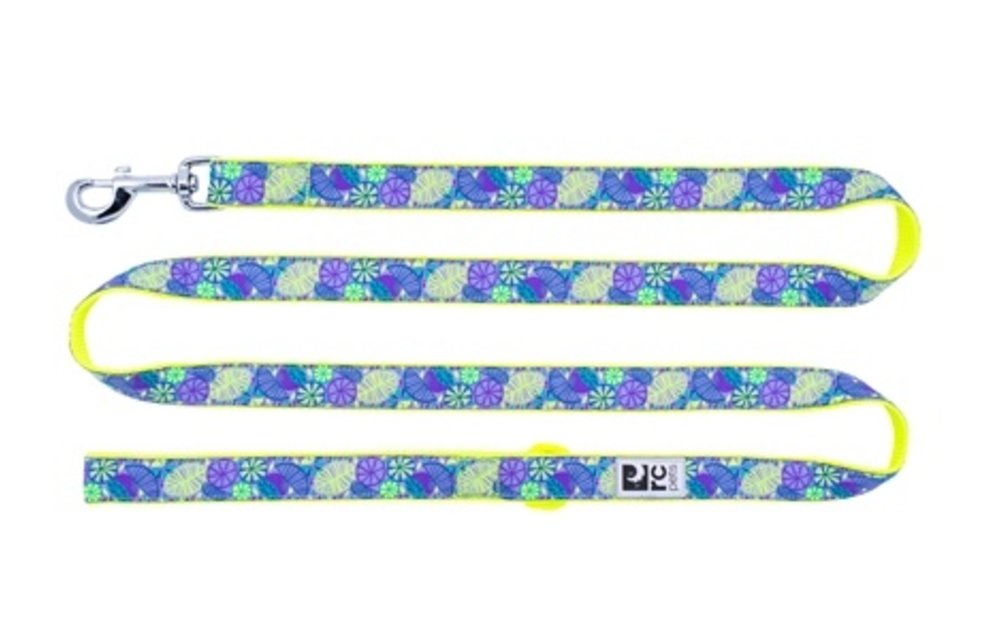 RC Pets Leash