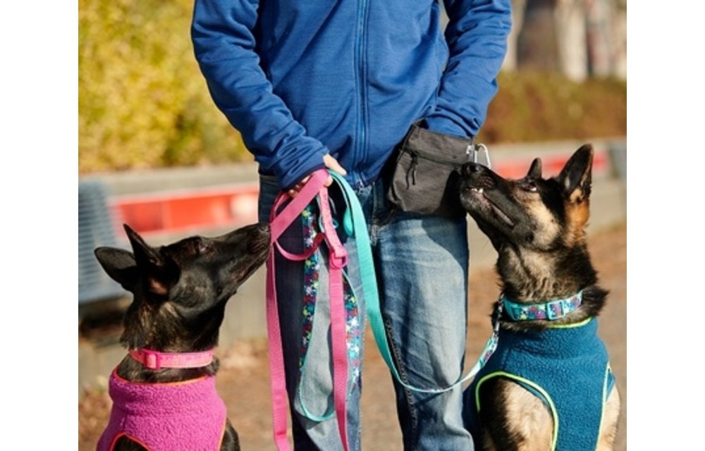 RC Pets Leash