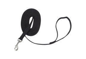 Cotton Web Training Lead