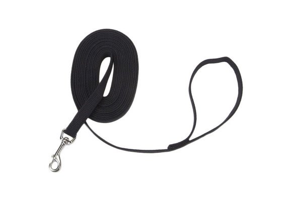 Cotton Web Training Lead