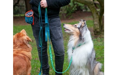 RC Pets Essential Treat Bag Heather Black