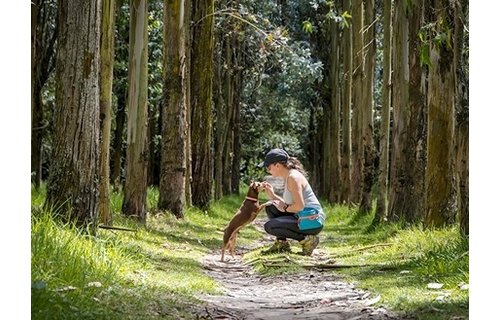 RC Pets Quick Grab Treat Bag Teal