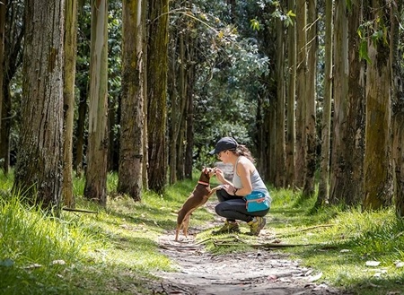 RC Pets Quick Grab Treat Bag Teal