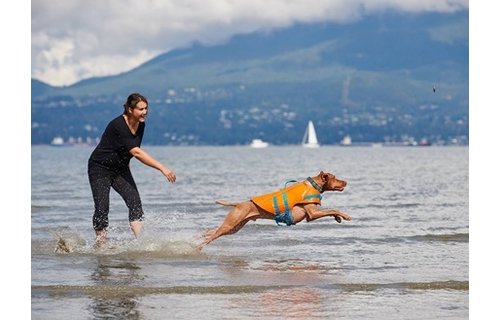 RC Pets Tidal Vest