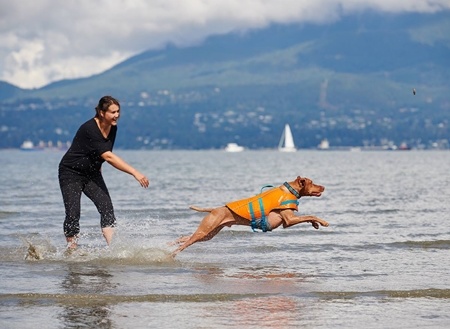 RC Pets Tidal Vest
