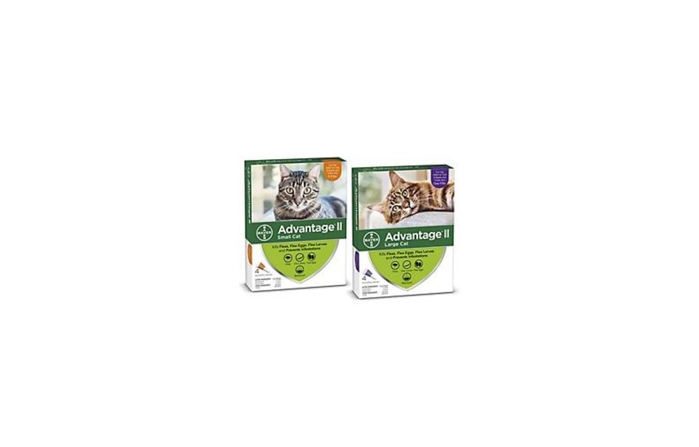 Advantage II Large Cats over 4 kg 2pk