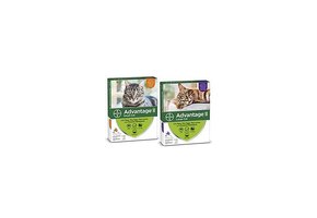 Advantage II Large Cats  over 4 kg 2pk