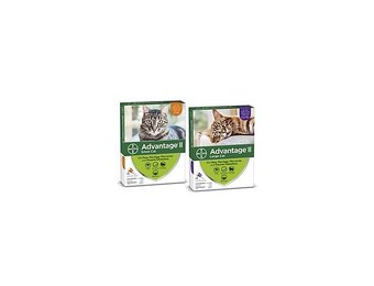 Advantage II Large Cats  over 4 kg 2pk