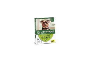 Advantage II Small Dog under 4 kg 2pk