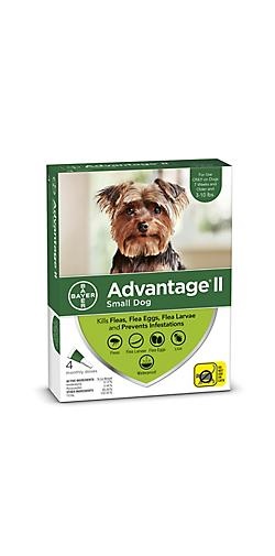 Advantage II Small Dog under 4 kg 2pk