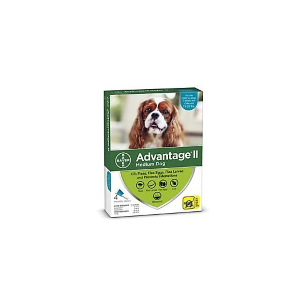 advantage ii medium dog