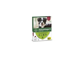Advantage II Large Dog 11-25kg 2pk