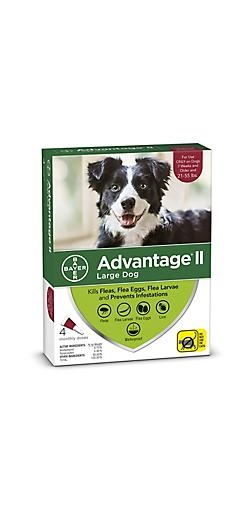 Advantage II Large Dog 11-25kg 2pk