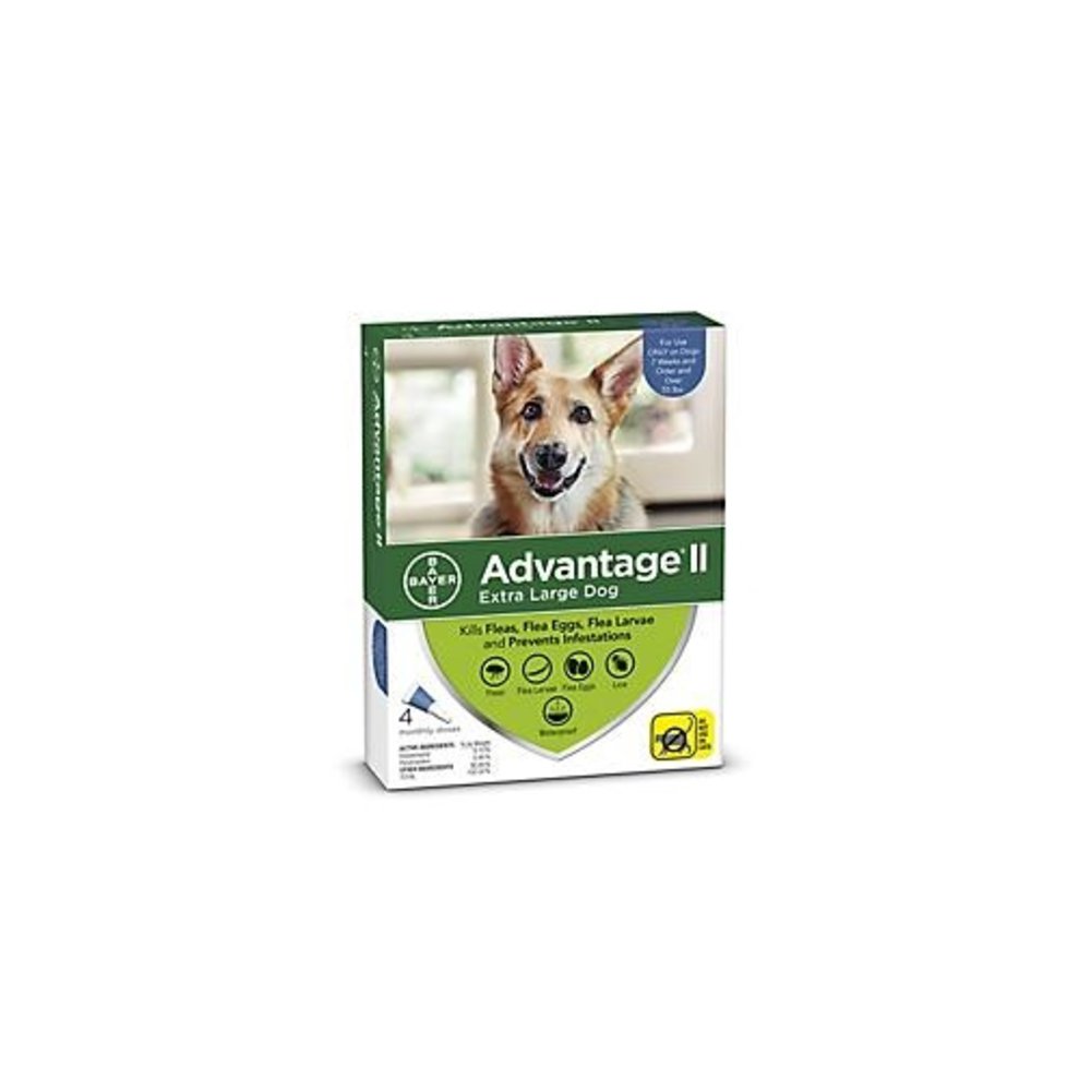 Advantage large dog 2025