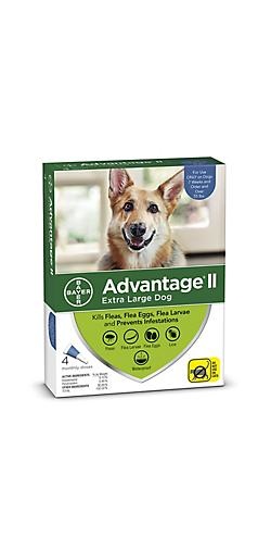 Advantage II X-Large Dog over 25 kg 2pk