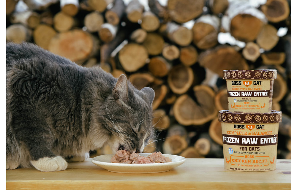 Boss Cat Frozen Complete Chicken Cat 16 oz