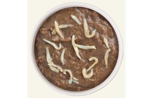 Weruva Cat Asian Fusion Cat 5.5 oz