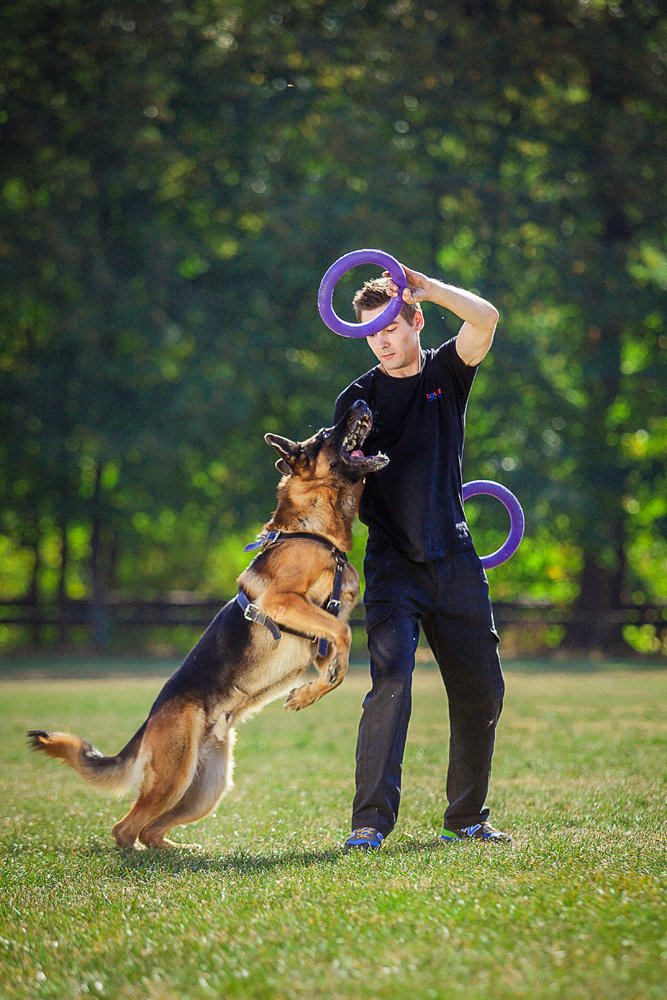 *Disc*Puller Standard