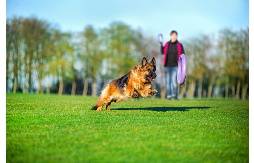 *Disc*Puller Standard