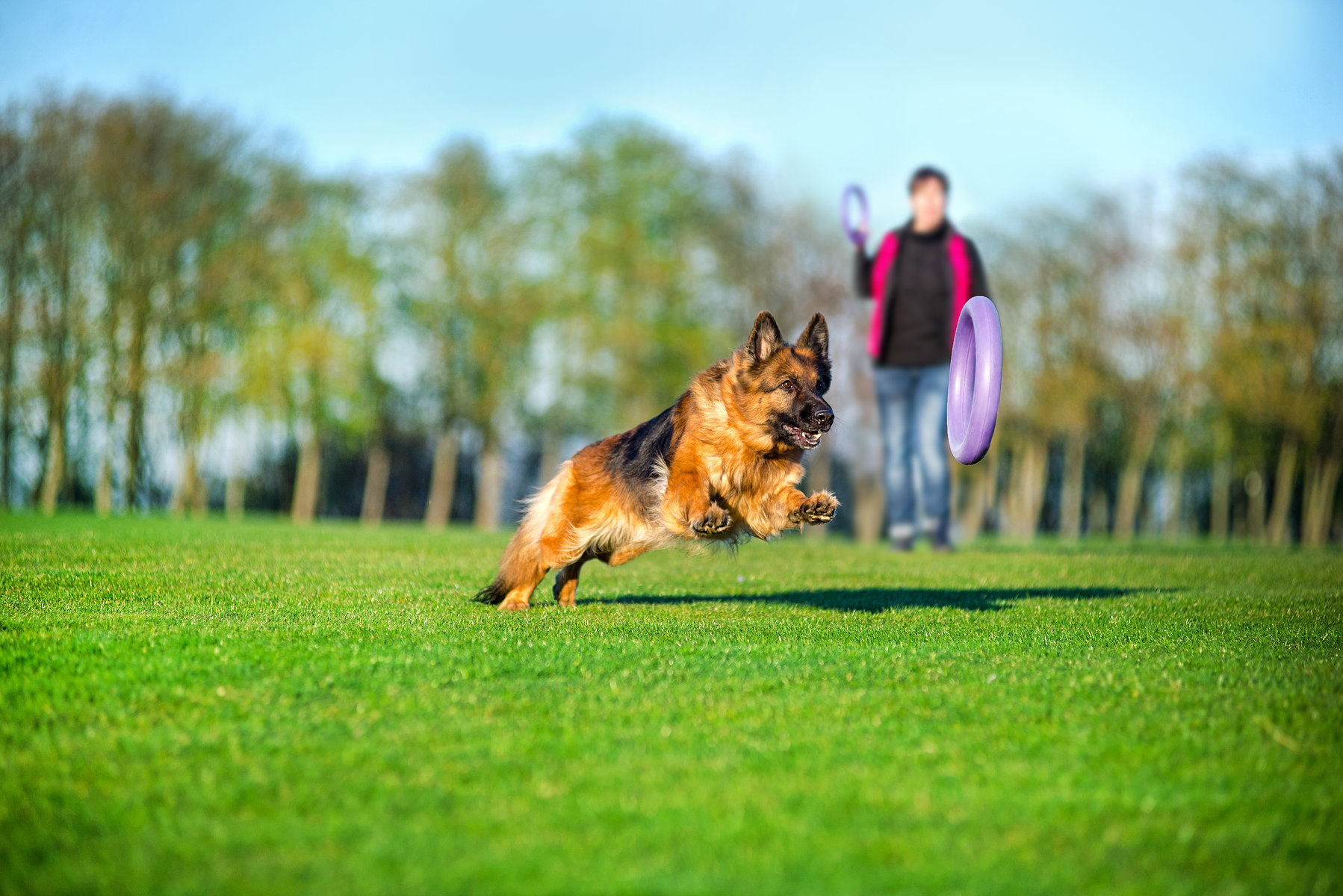 *Disc*Puller Standard