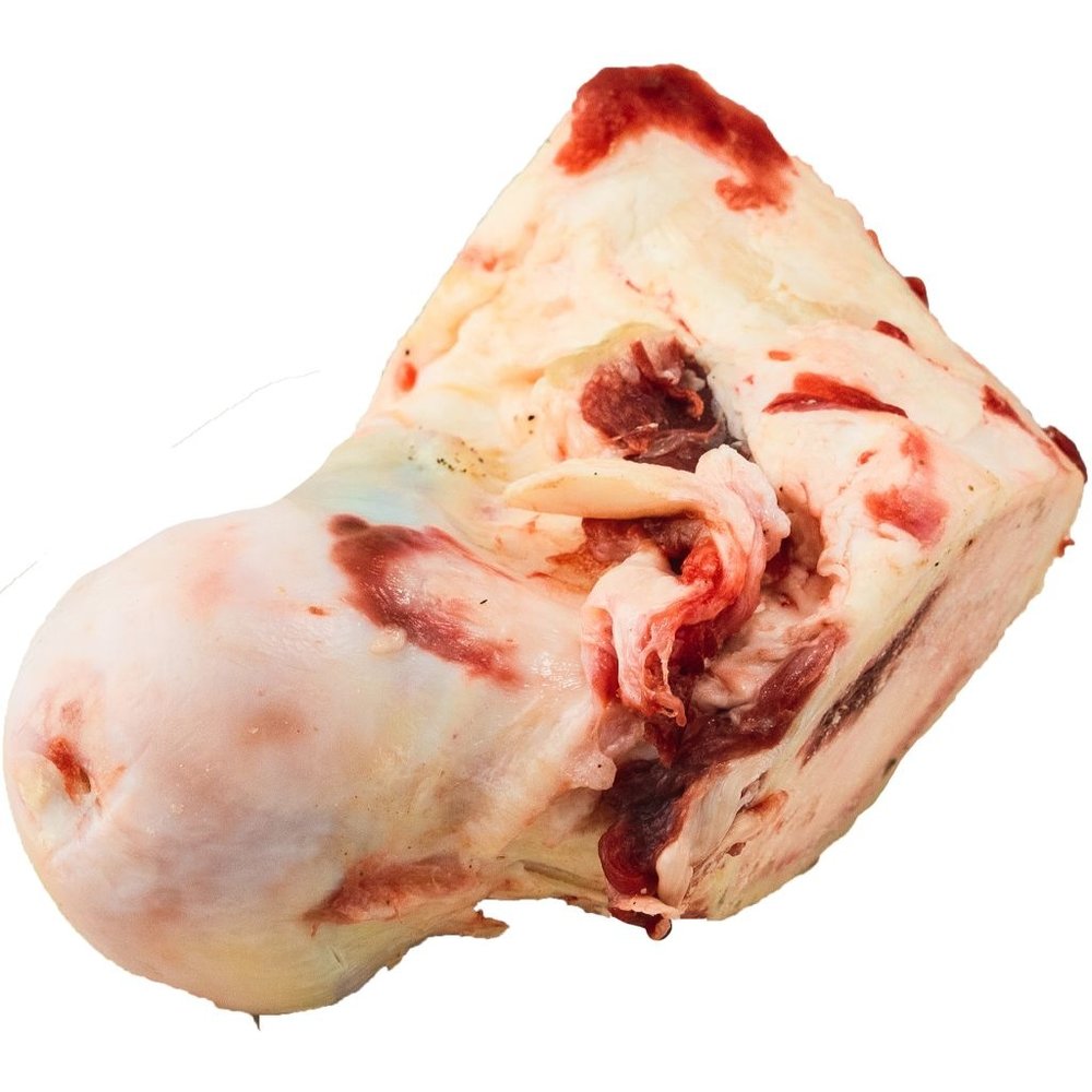 are frozen beef bones safe for dogs