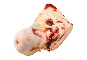 K9 Choice Frozen Beef Knuckle Bone