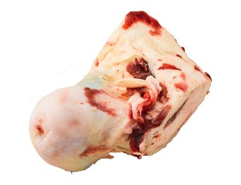 K9 Choice Frozen Beef Knuckle Bone
