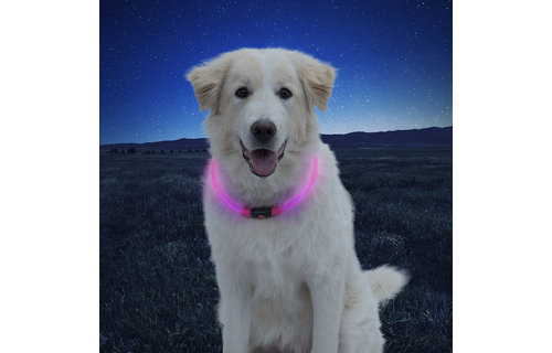 Nite Ize NiteHowl LED Safety Collar Pink
