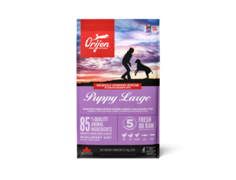 Orijen Puppy Large Breed Dog 11.4 kg