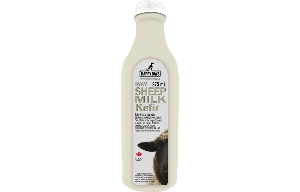 Frozen kefir cheap for dogs