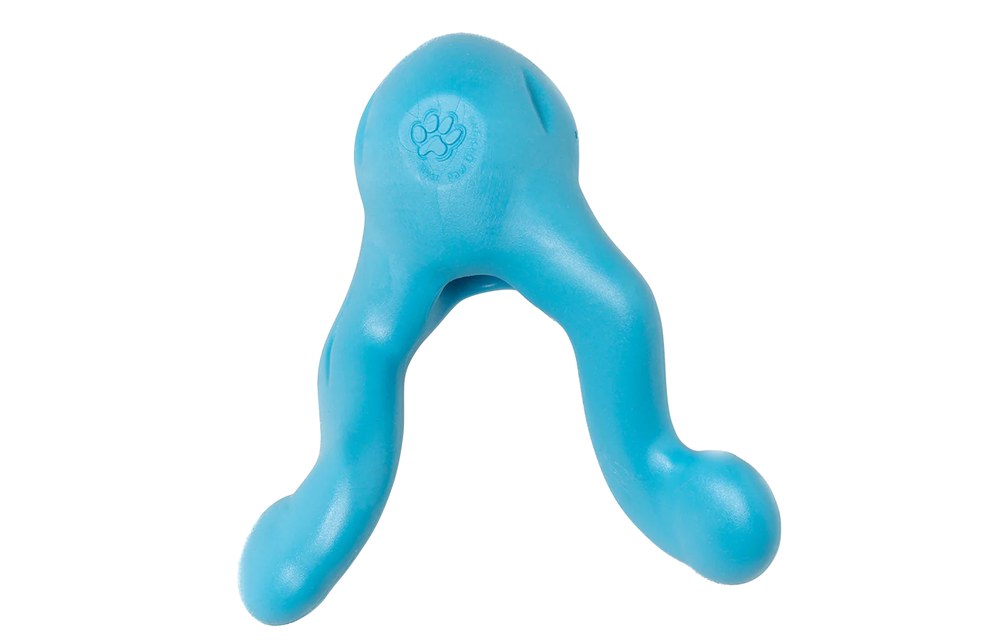 West Paw Tizzi Small 4.5" Aqua