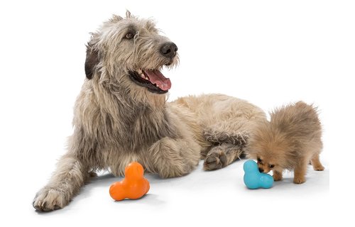 West Paw Tux 4" Aqua S