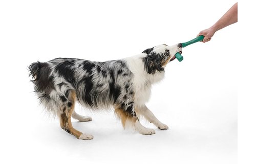 West Paw Seaflex Snorkl L