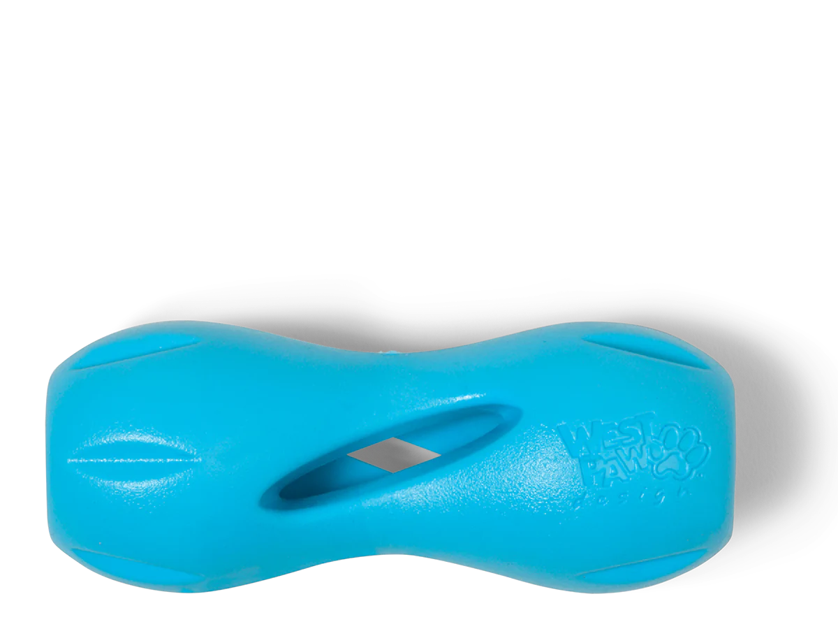 West Paw Qwizl 5.5" Aqua S