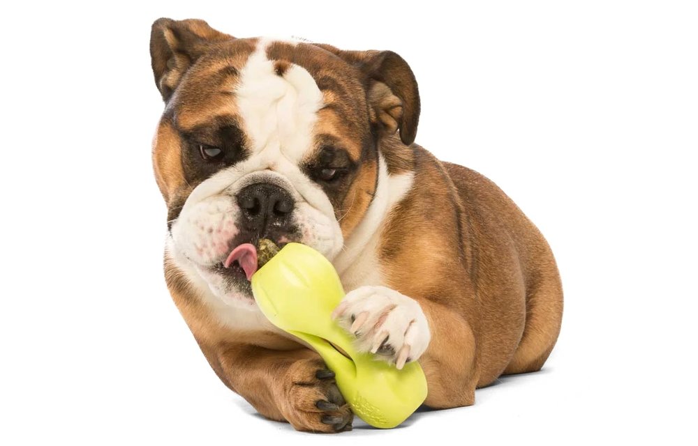 West Paw Qwizl Small 5.5" Green