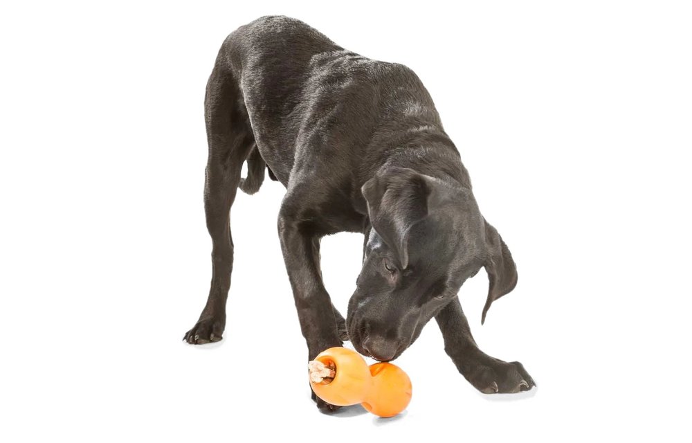 West Paw Qwizl Small 5.5" Tangerine