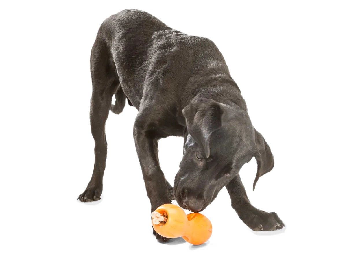 West Paw Qwizl 5.5" Tangerine S