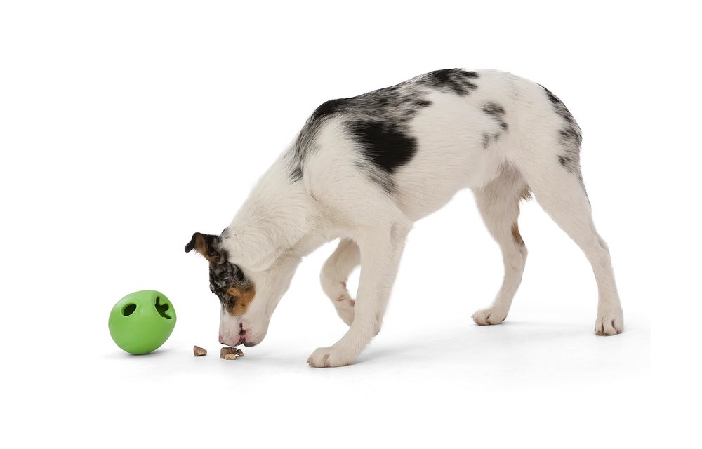 West Paw Rumbl Small Green