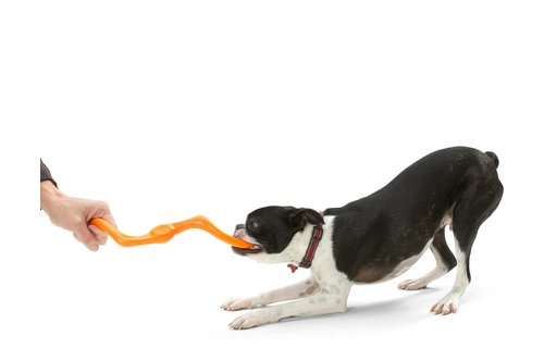 West Paw Bumi 9.5" Green L