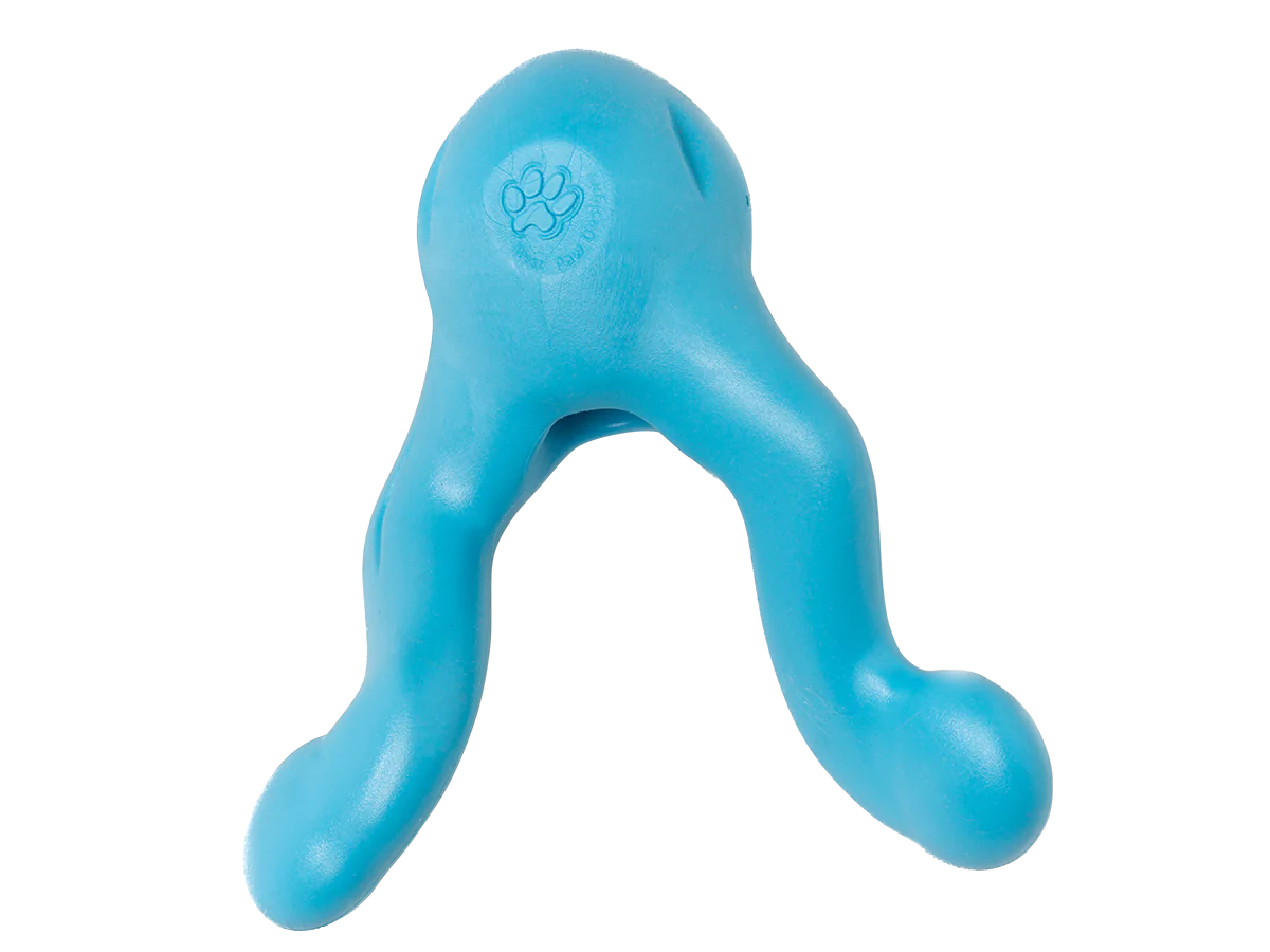 West Paw Tizzi 7" Aqua L