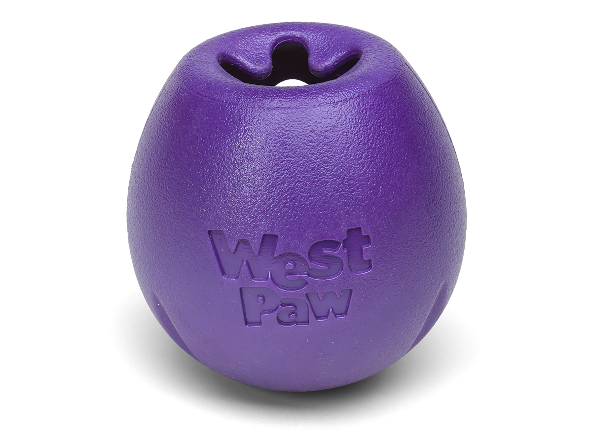 West Paw Rumbl Eggplant L