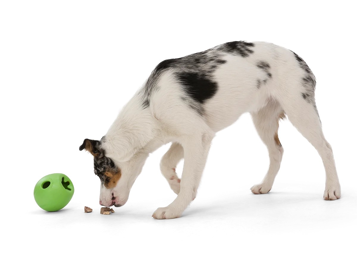 West Paw Rumbl Eggplant L