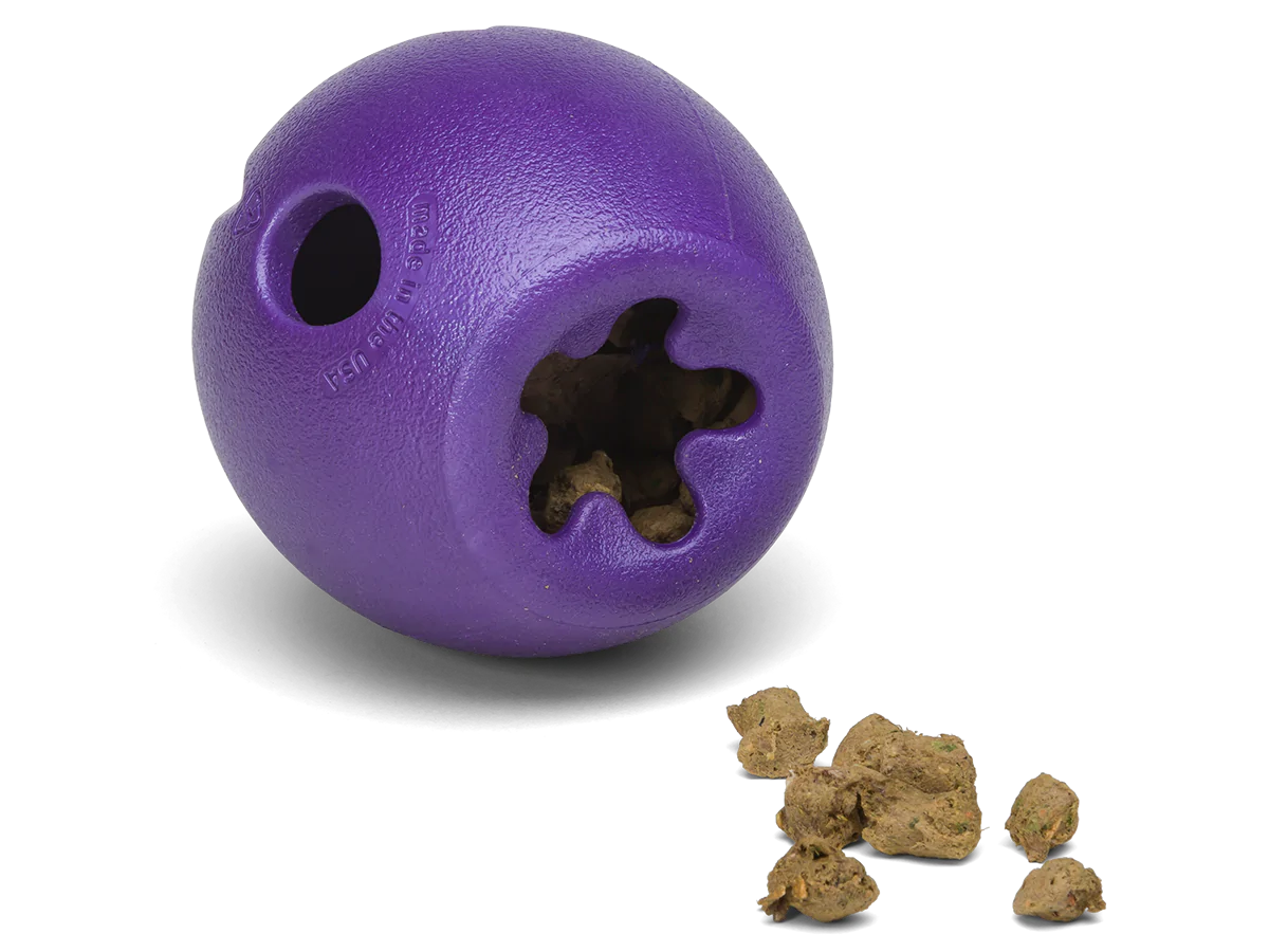 West Paw Rumbl Eggplant L