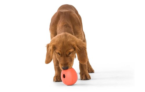 West Paw Rumbl Melon L