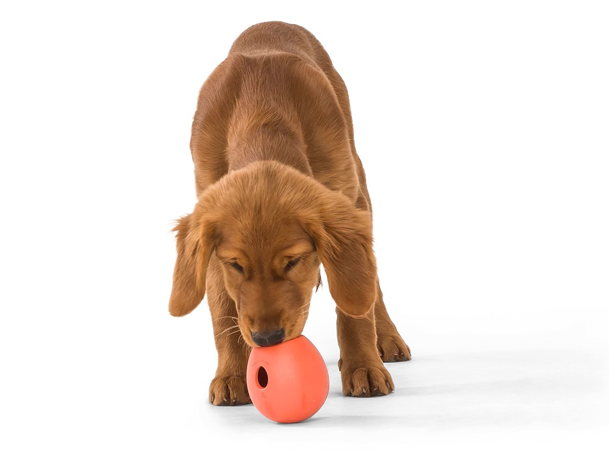 West Paw Rumbl Melon L