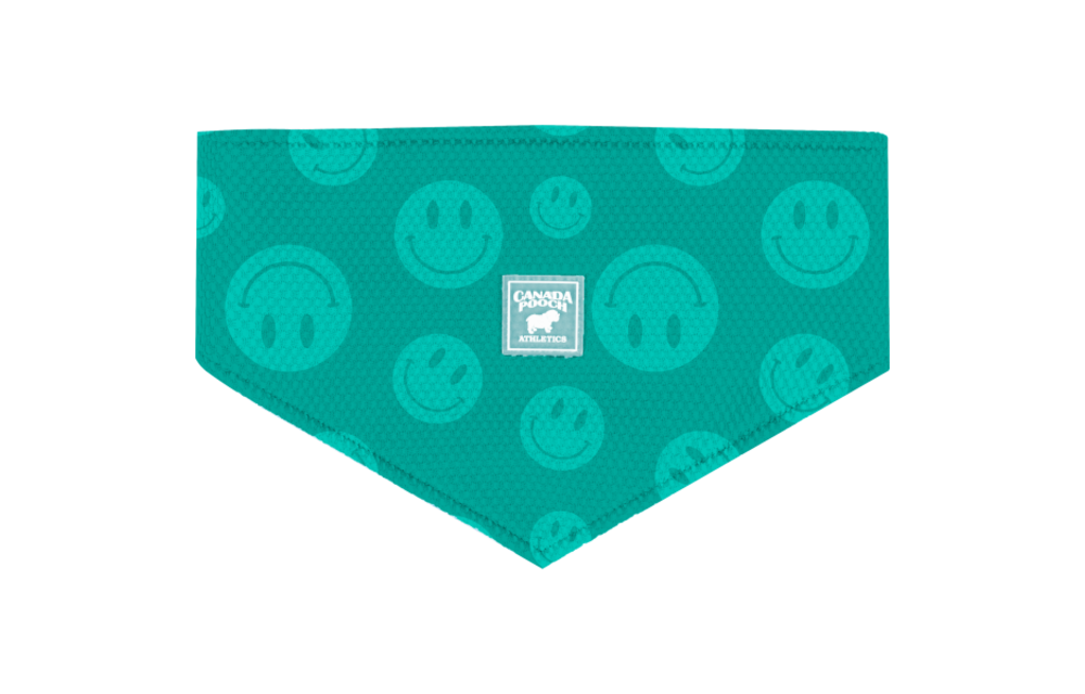 Canada Pooch Chill Seeker Cooling Bandana WetReveal Smiley Small