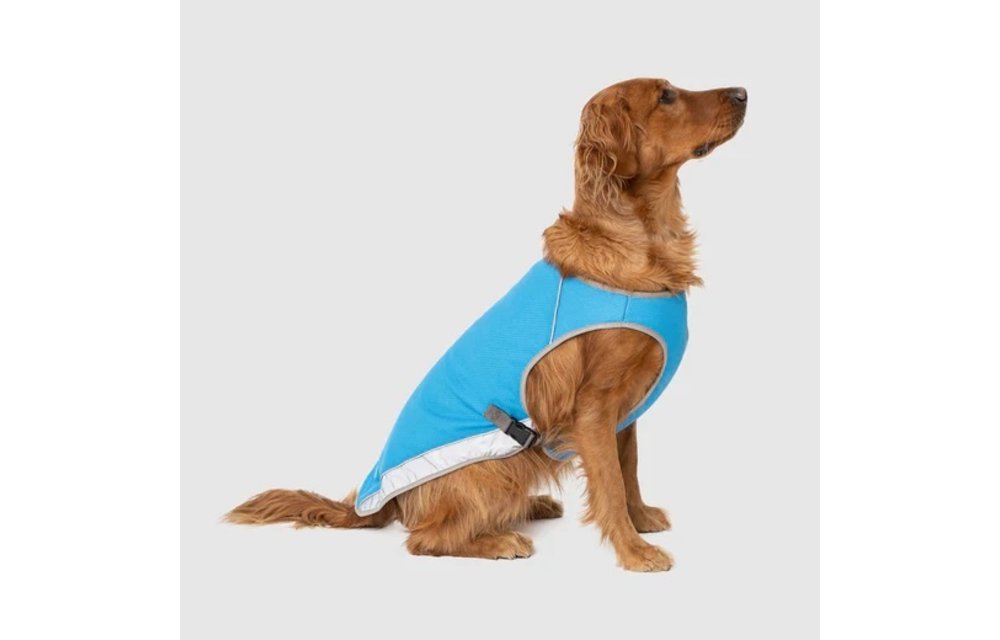 Chill Seeker Dog Cooling Vest