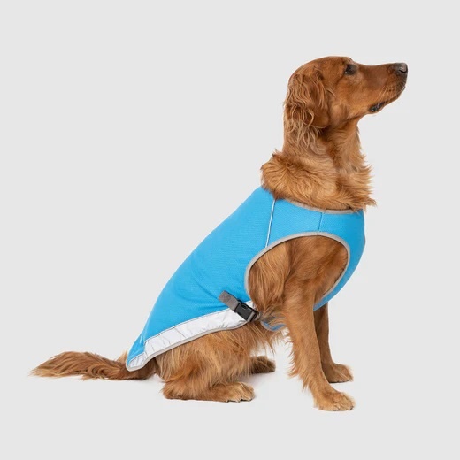 Canada Pooch Chill Seeker Blue Cooling Vest Size 12"
