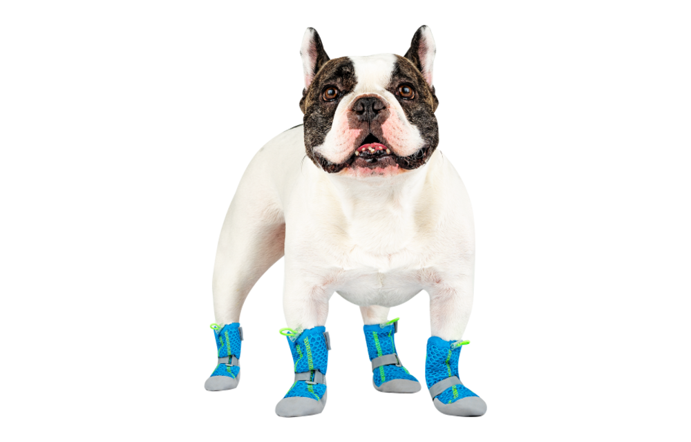 Canada Pooch Hot Pavement Cooling Boots Blue Size 3